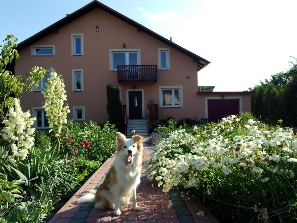 Agroturystyka U Basi Wola Kalinowska Bagian luar foto