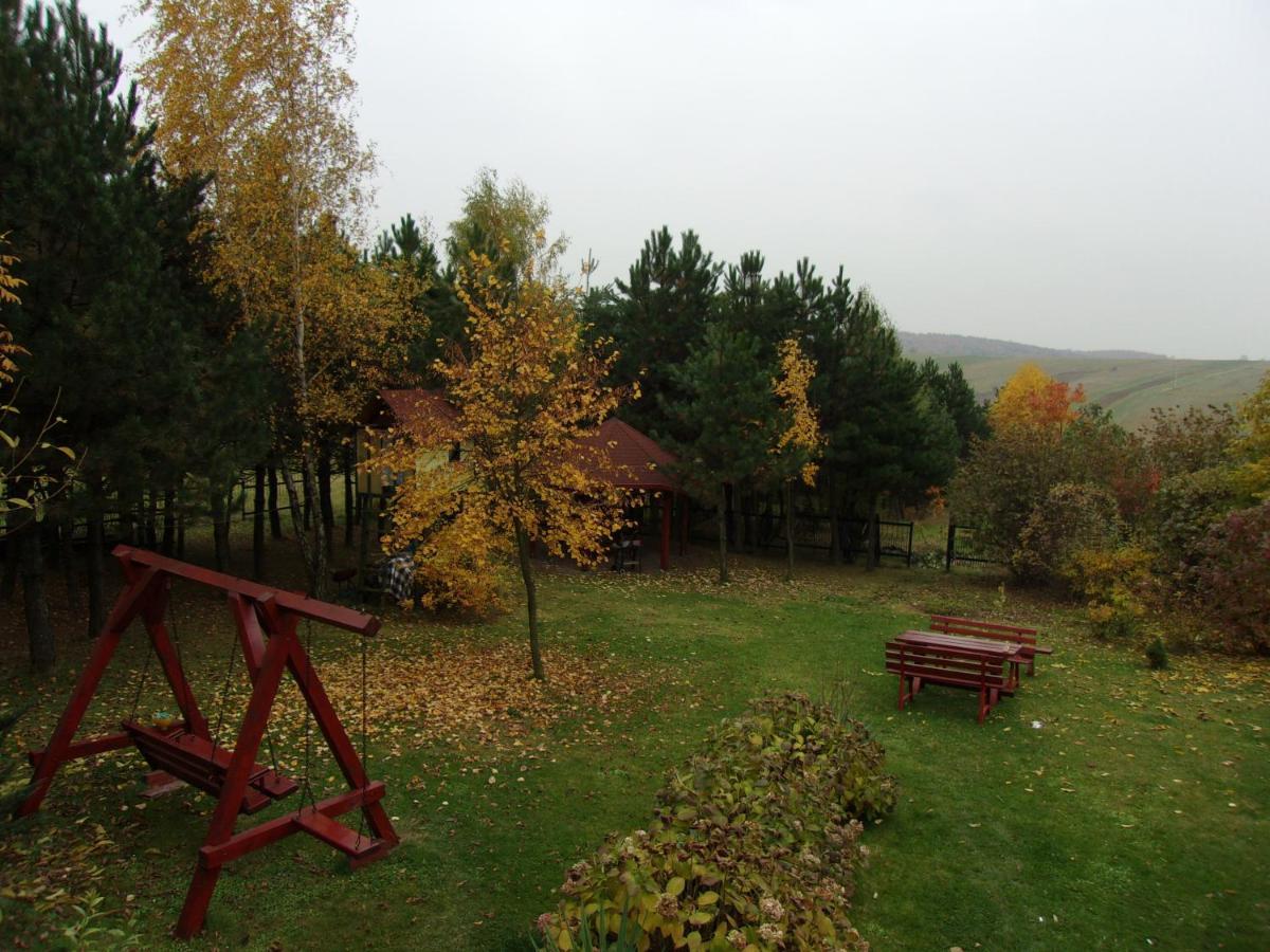 Agroturystyka U Basi Wola Kalinowska Bagian luar foto